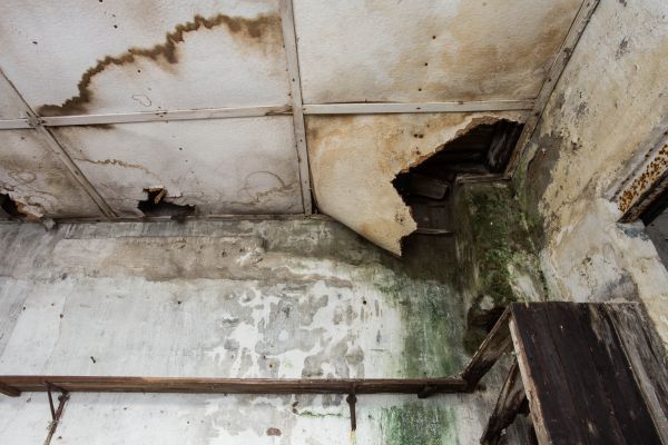 Cost of Water Damage Service in Cape Coral