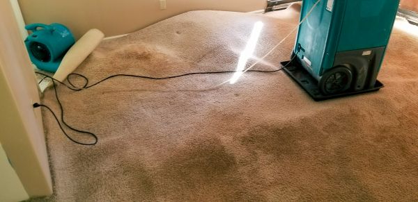 Cost of Flood Damage Cleanup in Cape Coral