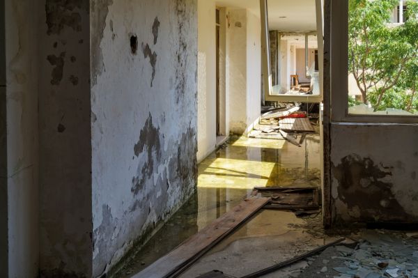 Cost of Water Removal Service in Cape Coral