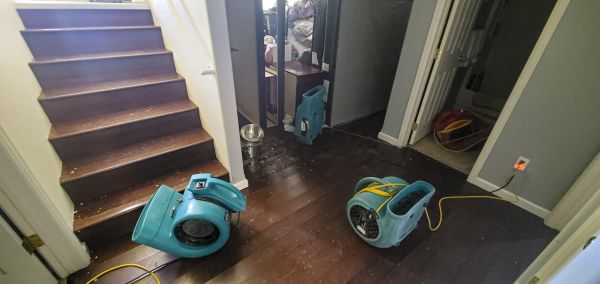 Cost of Water Damage Remediation in Cape Coral