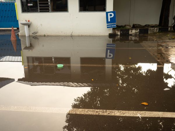 Cost of Storm Damage Repair in Cape Coral